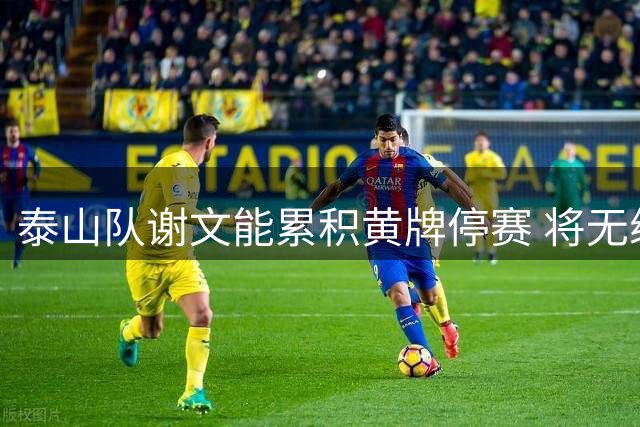 泰山队谢文能累积黄牌停赛 将无缘客战申花关键战